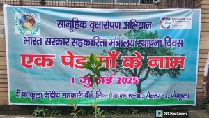 WhatsApp Image 2025-07-01 at 14.59.36